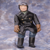 pilot erich